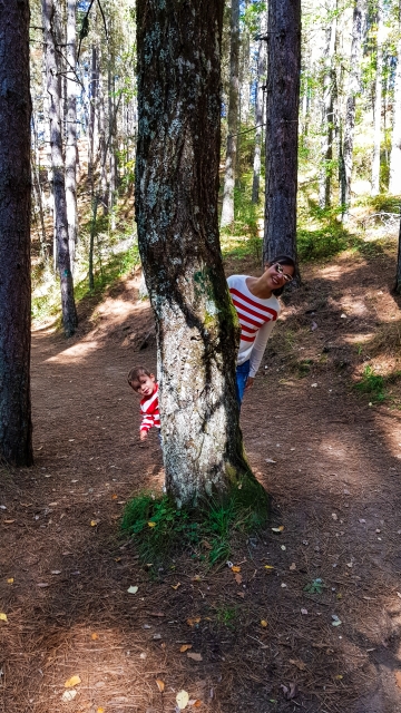SILA COSA CUPONE ALBERO