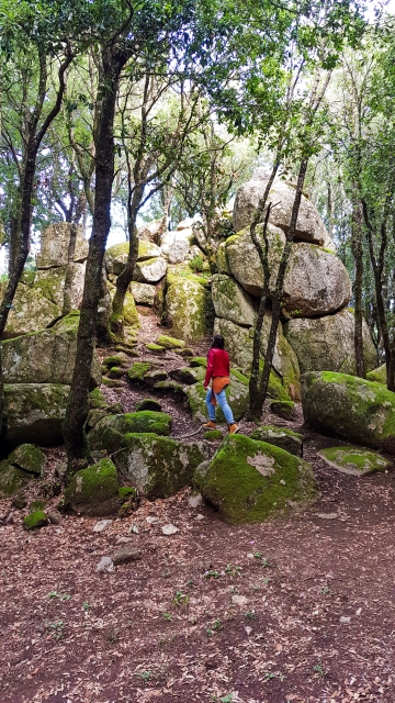 MEGALITI NARDODIPACE STONEHENGE CALABRIA COME ARRIVARE