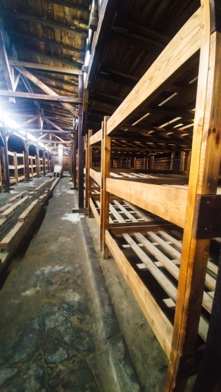 AUSCHWITZ DORMITORI