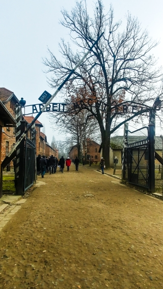 AUSCHWITZ ENTRATA LAVORO RENDE LIBERI