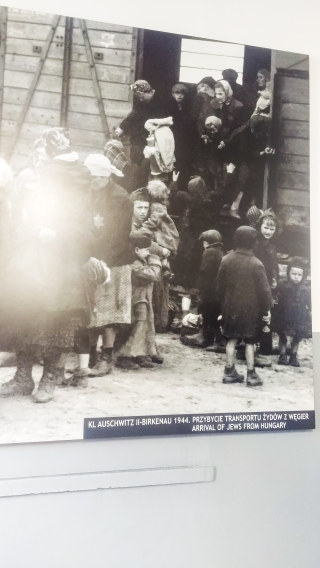 AUSCHWITZ FOTO BAMBINI