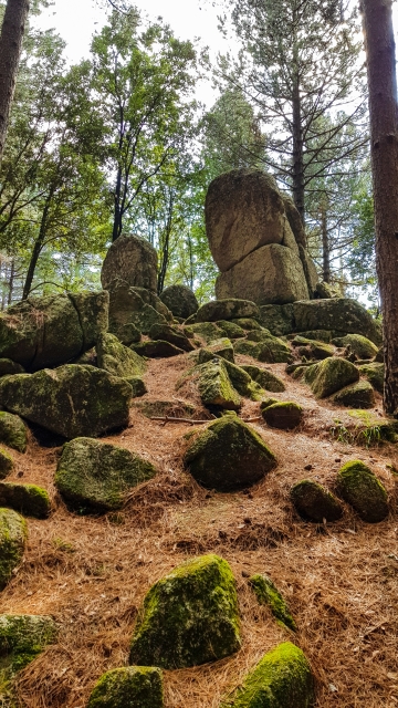 CALABRIA AUTUNNO FOLIAGE MEGALITI DI NARDODIPACE PIETRE