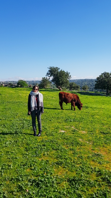 DONNAFUGATA COME ARRIVARE CAMPAGNA RAGUSA