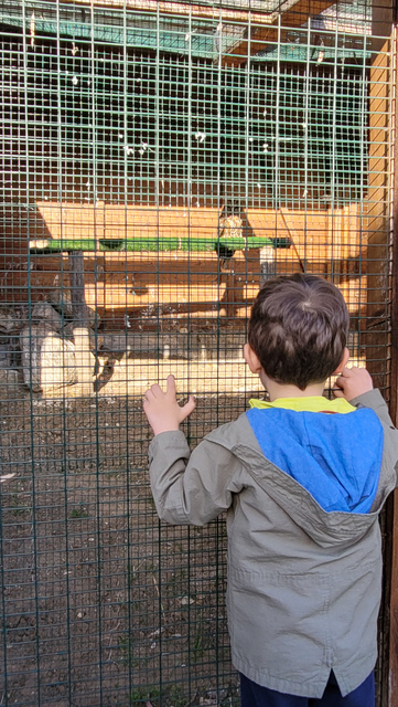 PARCO BIODIVERSITA' CALABRIA BAMBINI GUFO