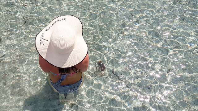 VENDICARI SPIAGGE COME ARRIVARE QUALI SCEGLIERE MARE