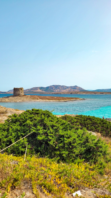 LAPELOSA STINTINO SPIAGGIA COME PRENOTARE