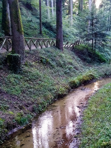 SERRA SAN BRUNO COSA VEDERE AUTUNNO FOLIAGE FIUME