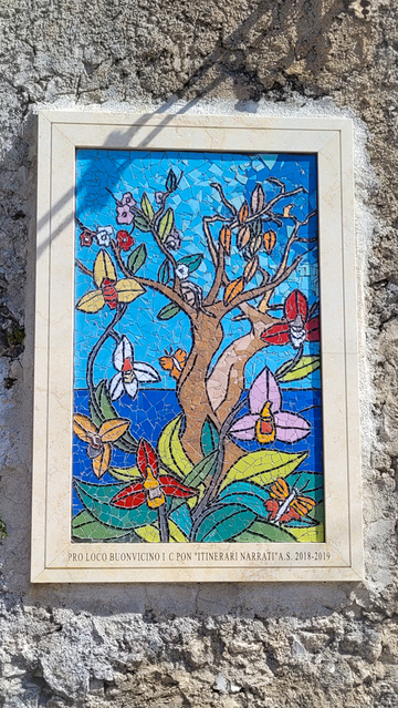 BUONVICINO BORGO CALABRIA COSA VEDERE MURALES