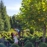 PARCO VILLA VITTORIA MONGIANA CALABRIA ARTE TOPIARIA