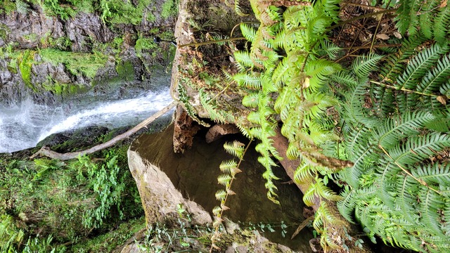 CASCATE MUNDU GALASIA ASPROMONTE FELCE