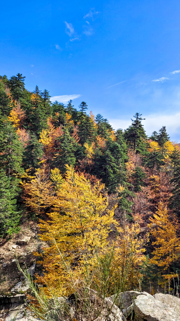 CASCATE TRE LIMITI ASPROMONTE FOLIAGE