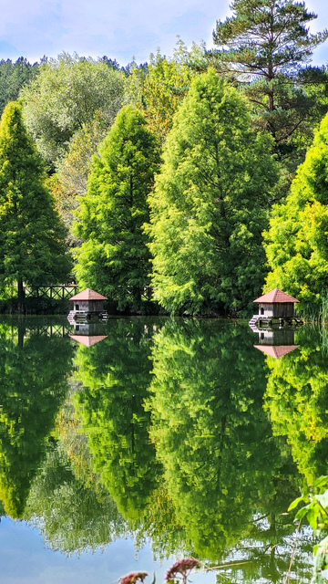 PARCO SERRE CALABRIA COSA VEDERE LAGO DI SAMBUCO