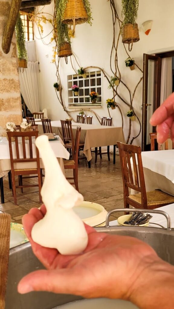 MASSERIE PUGLIA CASINA DEI PRETI MOZZARELLA ARTIGIANALE