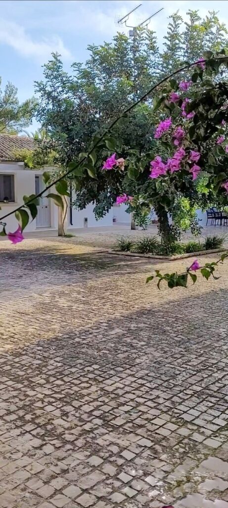MASSERIE PUGLIA PANAREO CORTE ESTERNA