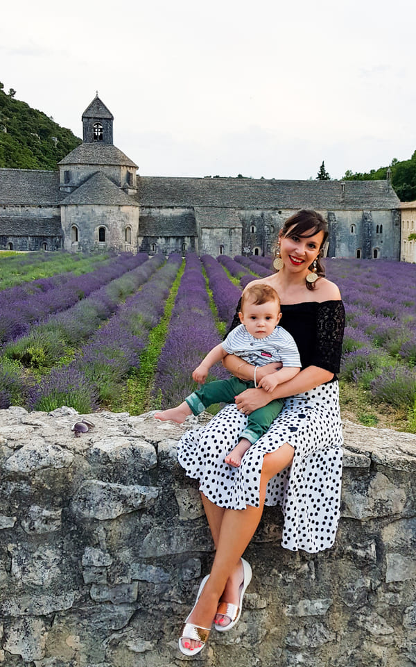 PROVENZA SENANQUE DINTORNI