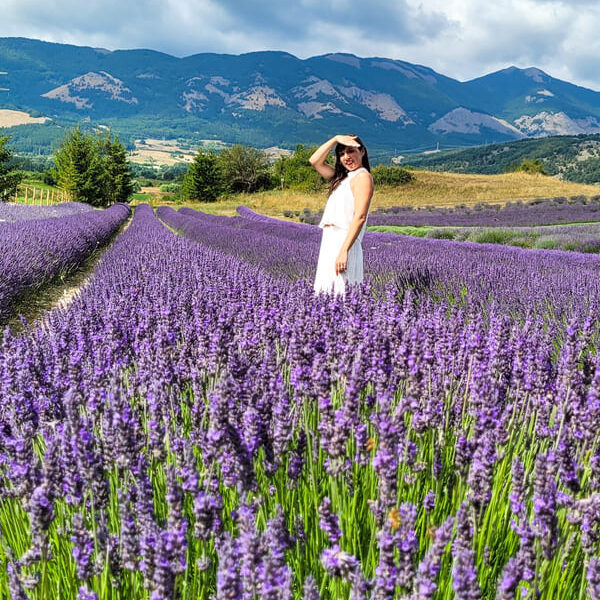 LAVANDA CALABRIA DOVE ANDARE