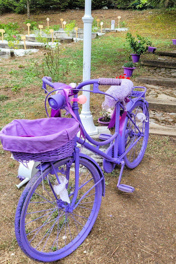 LAVANDA CALABRIA PARCO BICI VIOLA