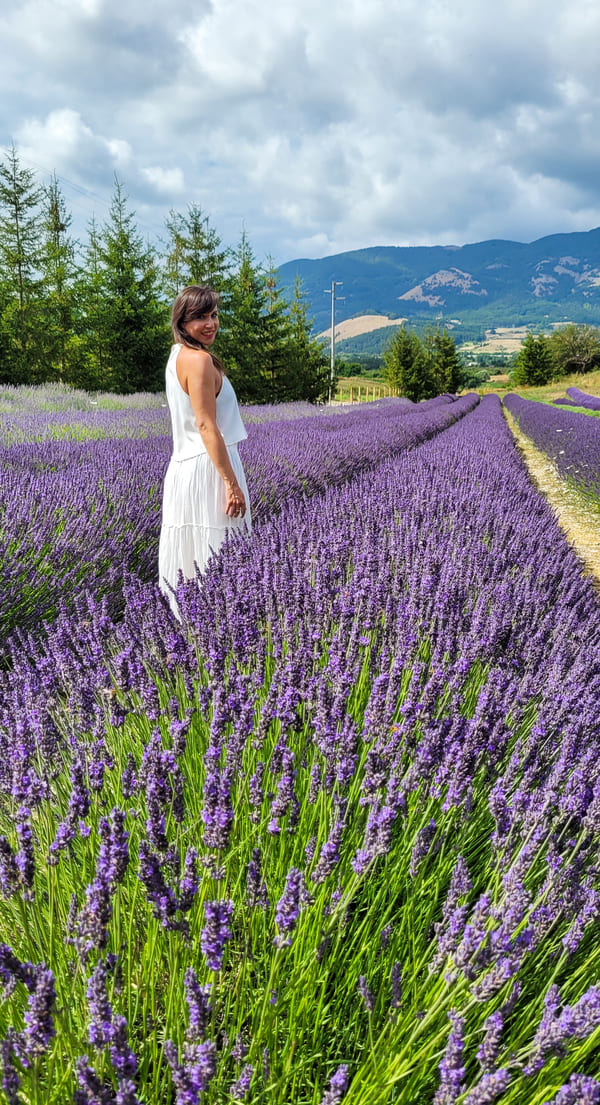 LAVANDA CALABRIA QUANDO FIORISCE