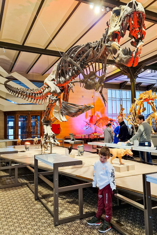 BRUXELLES COSA VEDERE 3 GIORNI MUSEO DINOSAURI