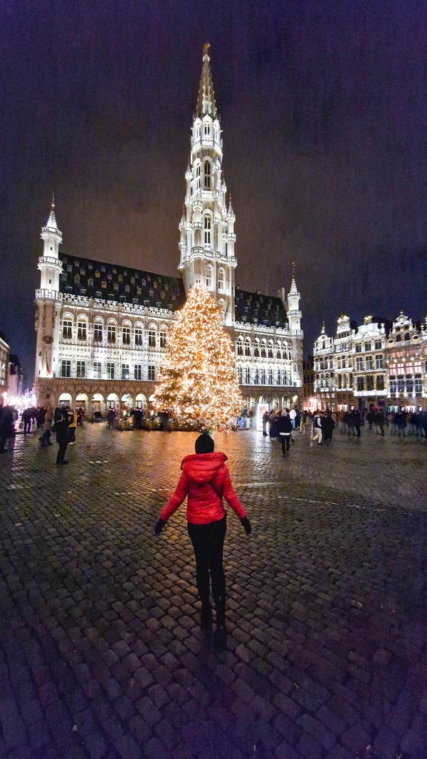 BRUXELLES ITINERARIO CENTRO STORICO GRAND PLACE ILLUMINATA
