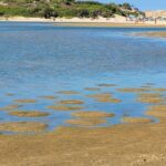SU GIUDEU SARDEGNA