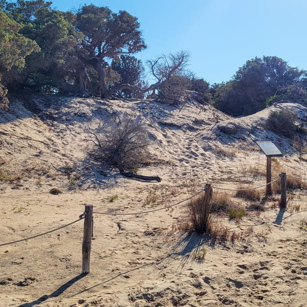 SU GIUDEU SARDEGNA SPIAGGIA