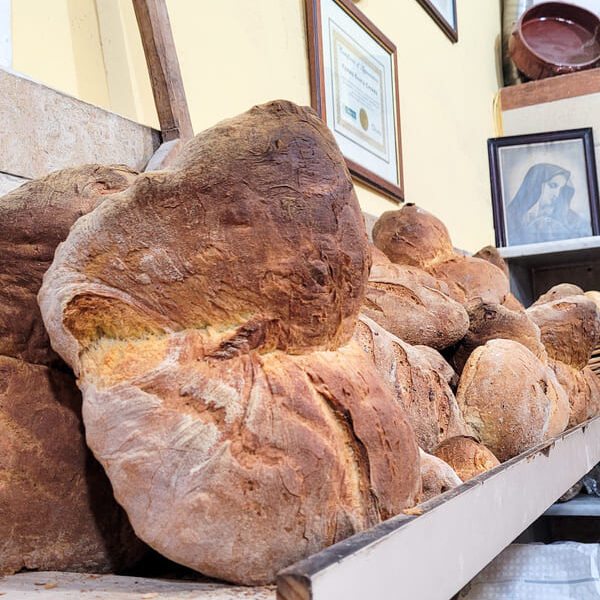 PUGLIA COSA MANGIARE PANE ALTAMURA