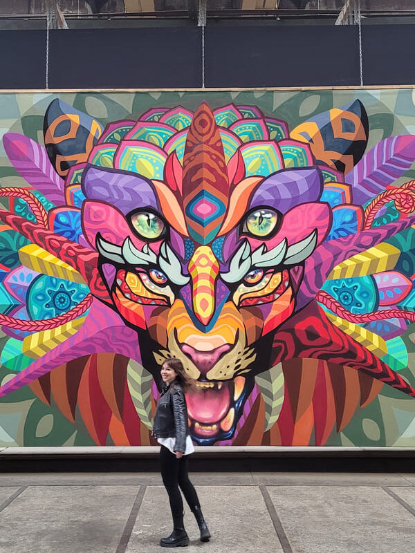 Cosa Vedere ad Amsterdam in 3 giorni MUSEO STREET ART
