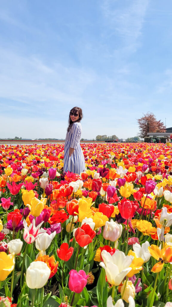 AMSTERDAM DOVE DORMIRE LOW COST TULIPANI