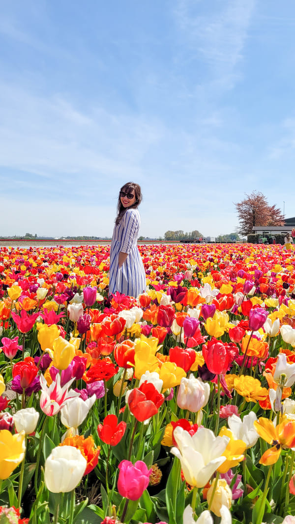 AMSTERDAM DOVE DORMIRE LOW COST TULIPANI