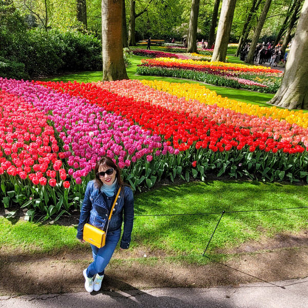 TULIPANI AMSTERDAM DOVE QUANDO
