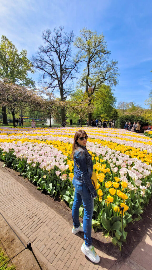 TULIPANI AMSTERDAM DOVE QUANDO