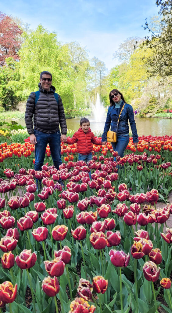 TULIPANI AMSTERDAM DOVE QUANDO BAMBINI