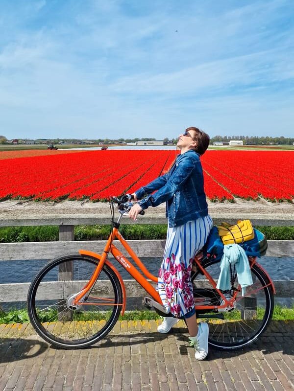 TULIPANI AMSTERDAM DOVE QUANDO BICI