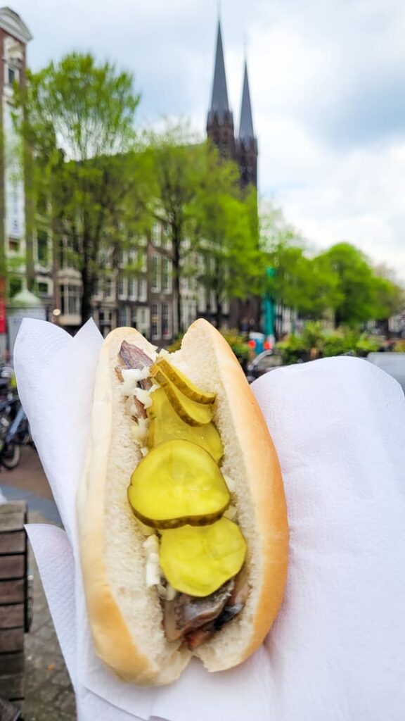 AMSTERDAM COSA MANGIARE TIPICO PANINO ARINGA