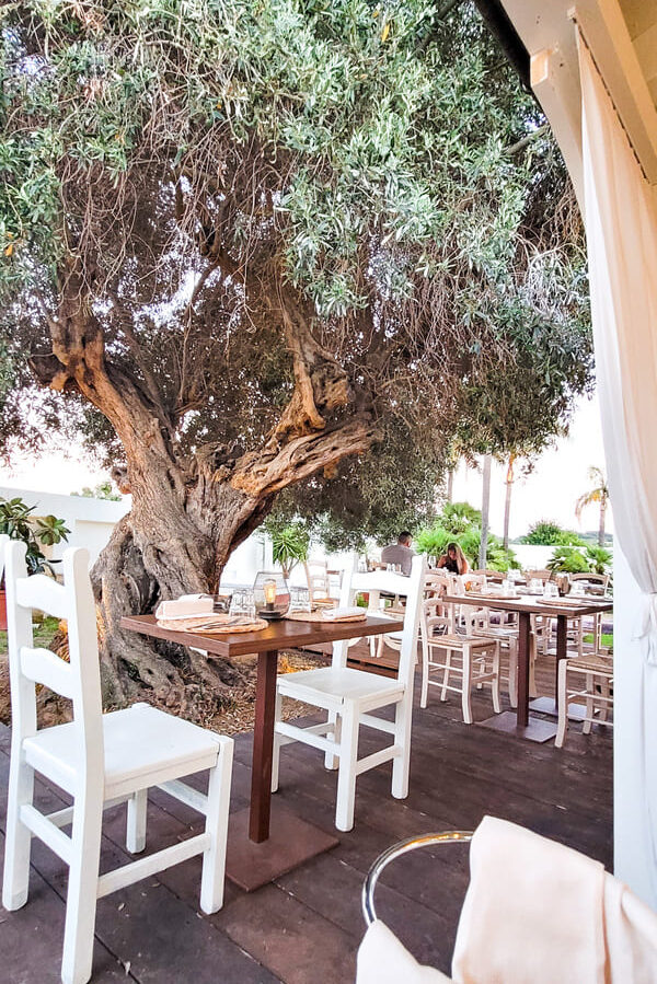 VILLASIMIUS DOVE MANGIARE MAIORI