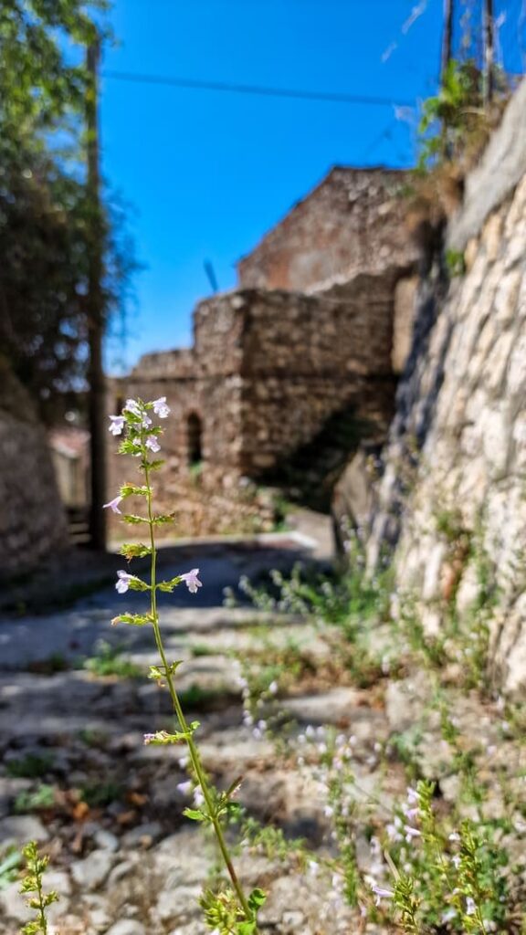 BORGHI SILENTI PIETRAPENNATA