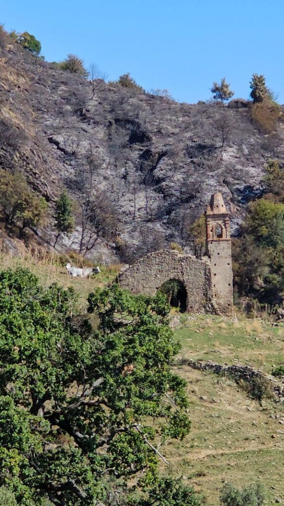 BORGHI SILENTI PIETRAPENNATA MADONNA ALICA