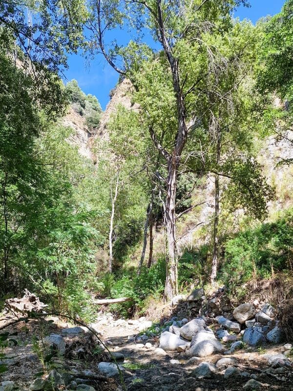 VALLI CUPE BIODIVERSITA
