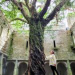 IRLANDA DEL SUD COSA VEDERE MUCKROSS ABBEY