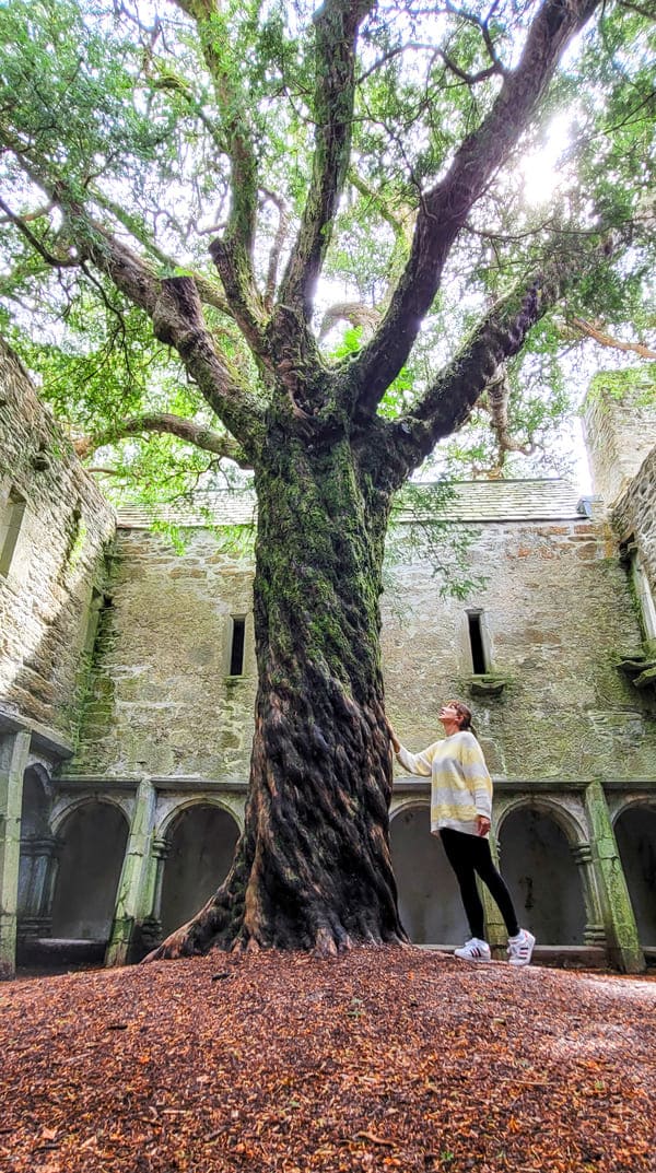 IRLANDA DEL SUD COSA VEDERE MUCKROSS ABBEY