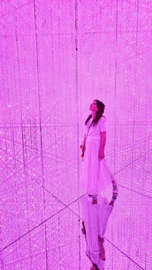 COSA VEDERE A TOKYO TEAMLAB BORDERLESS