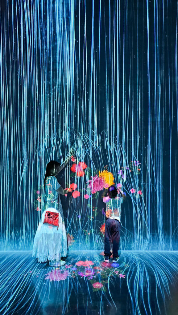 COSA VEDERE A TOKYO TEAMLAB BORDERLESS