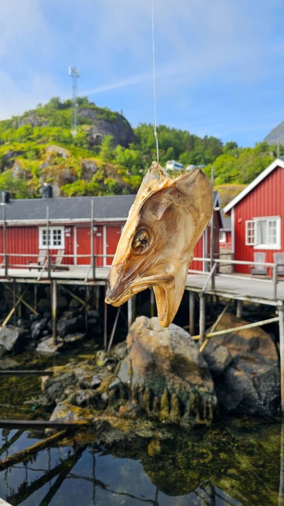 LOFOTEN COSA VEDERE NUSFJORD STOCCAFISSO