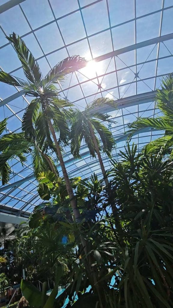 ROMANIA COSA VEDERE TERME BUCAREST